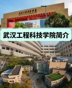 学校