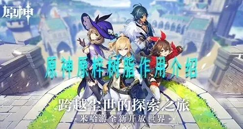 原神树脂