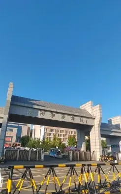 学院