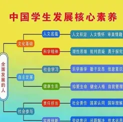 素养
