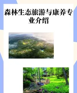 森林
