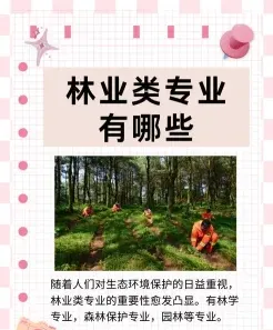 利用