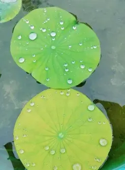 药店