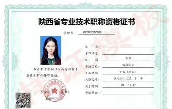 专业领域
