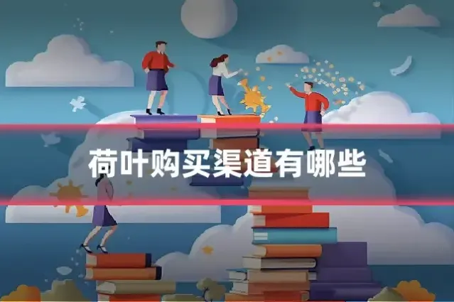 荷叶购买渠道有哪些