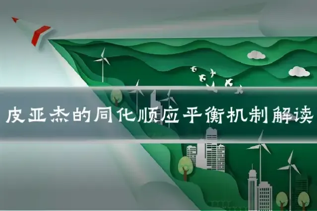 皮亚杰的同化顺应平衡机制解读