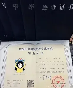 中专学历