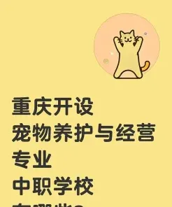 专业学校