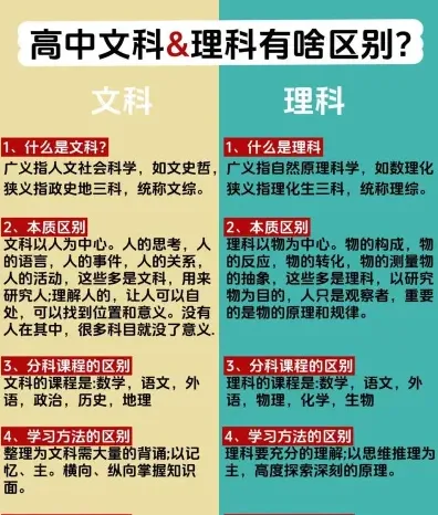 高中文科