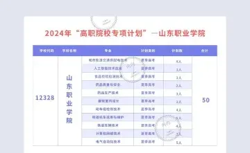 山东职业学院