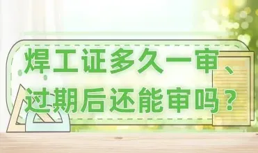 年审