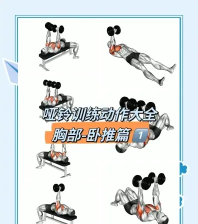 健身教练