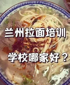 机构