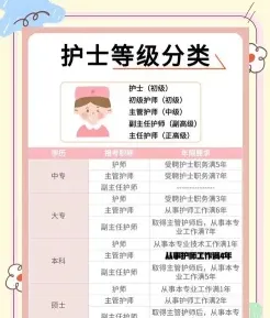 提供