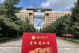 工作经验