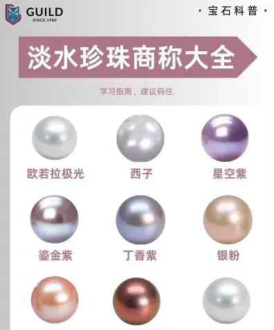 提供
