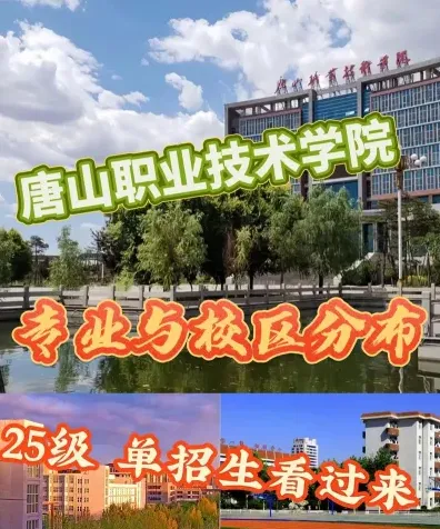 高等职业院校