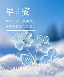 愿你