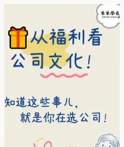 团队