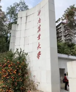 国家