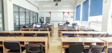 体育