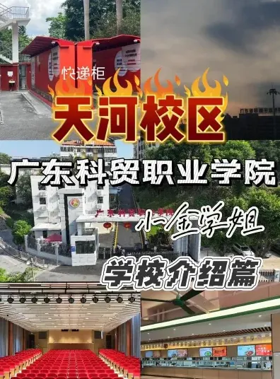 提供