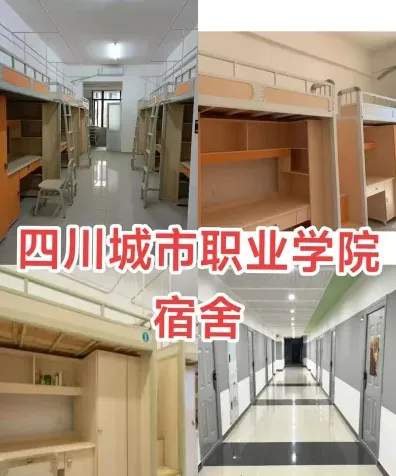 城市职业学院