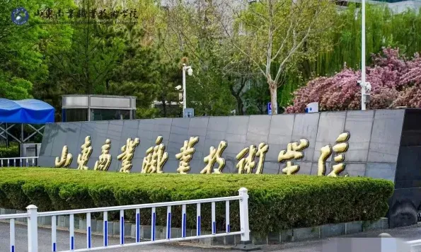 山东商业