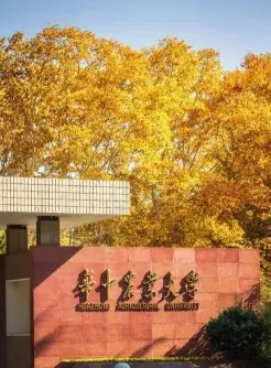 高校