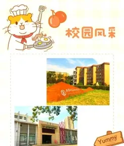 美院