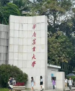 教育部直属