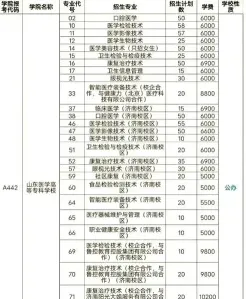 山东力明