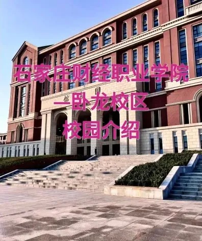 财经职业