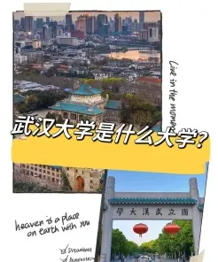 武汉大学
