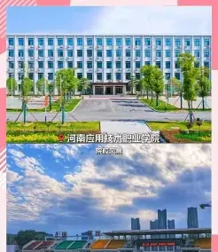 学校