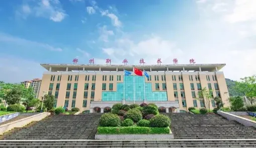 专业