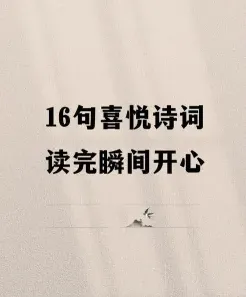 赏花