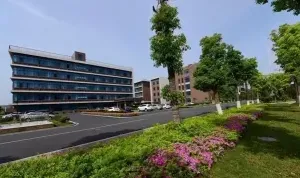 学校