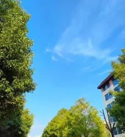 中等专业学校
