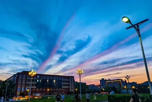 学校