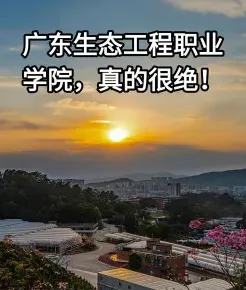 学院