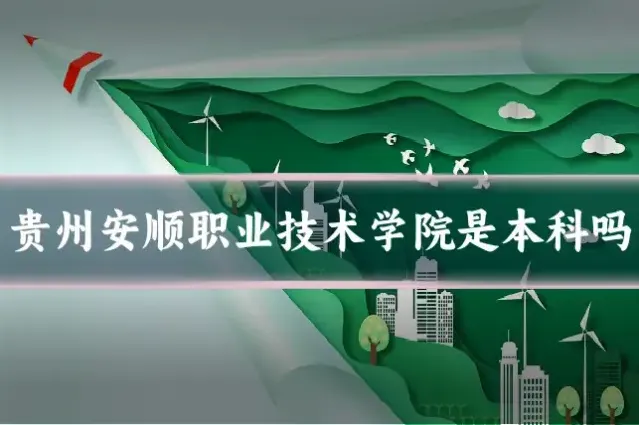 贵州安顺职业技术学院是本科吗