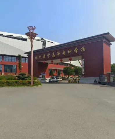 专任教师
