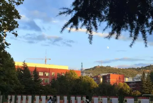 学校