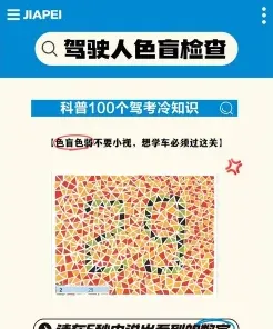 报考