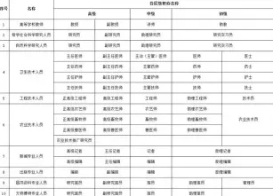 职称评审