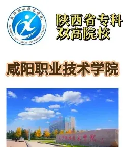 学院