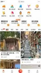 大众点评访客