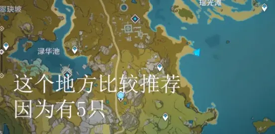 原神白色
