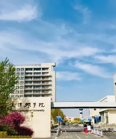 国家